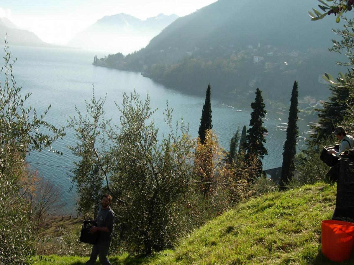 Villa Casa Indipendente "Il Sole Delle Grigne" Bellagio Exterior foto